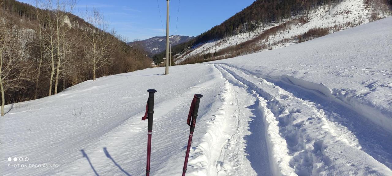 Penzion Soltis Liptovske Revuce Zewnętrze zdjęcie